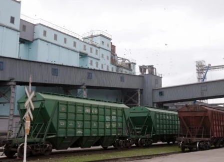 Зерно железной дорогой: горизонты логистики для аграриев